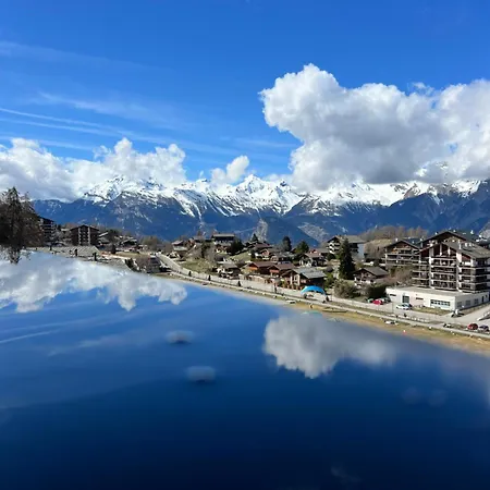 Vincenzo Appart, Confortable A Nendaz, Acces Direct Au Telecabine De Tracouet Et Parking Souterrain Inclus Nendaz
