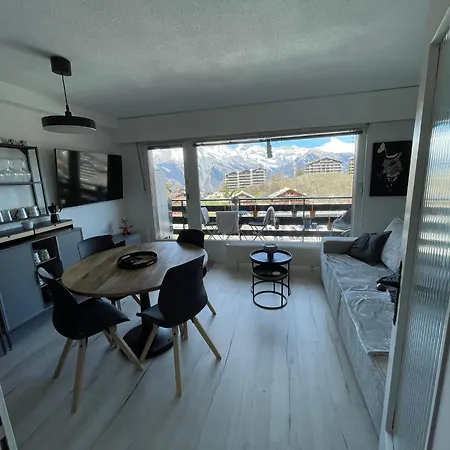 Vincenzo Appart, Confortable A Nendaz, Acces Direct Au Telecabine De Tracouet Et Parking Souterrain Inclus * Nendaz